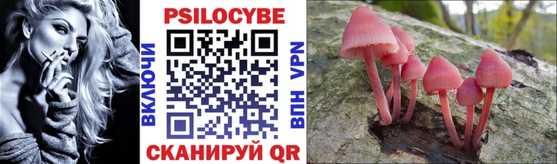 Псилоцибиновые грибы мицелий  Купить где  Ипатово 