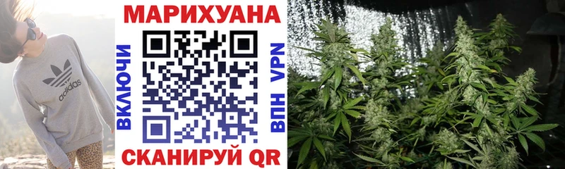 Каннабис OG Kush  Купить где  Ипатово 